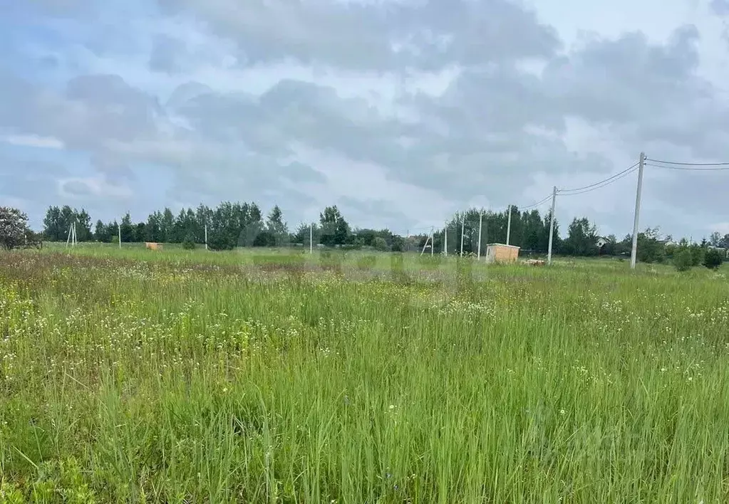 Участок в Московская область, Раменский муниципальный округ, Березки ... - Фото 1