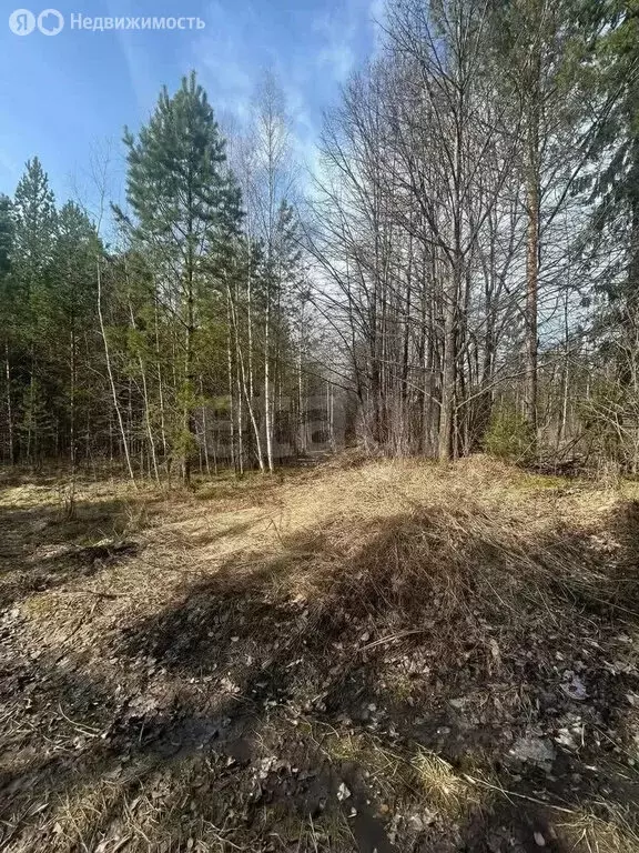 Участок в Свердловская область, Кировградский муниципальный округ, ... - Фото 2