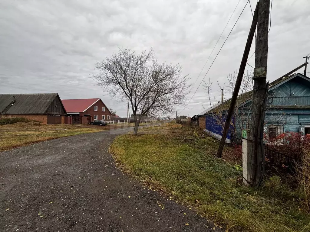 Участок в Оренбургская область, Оренбургский район, с. Каменноозерное ... - Фото 1