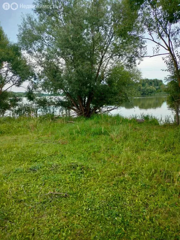 Участок в село Госома, Колхозная улица (30 м) - Фото 1