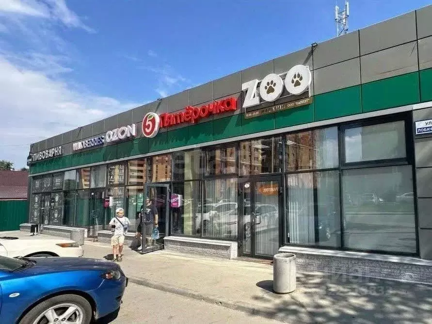 Торговая площадь в Новосибирская область, Новосибирск ул. ... - Фото 2