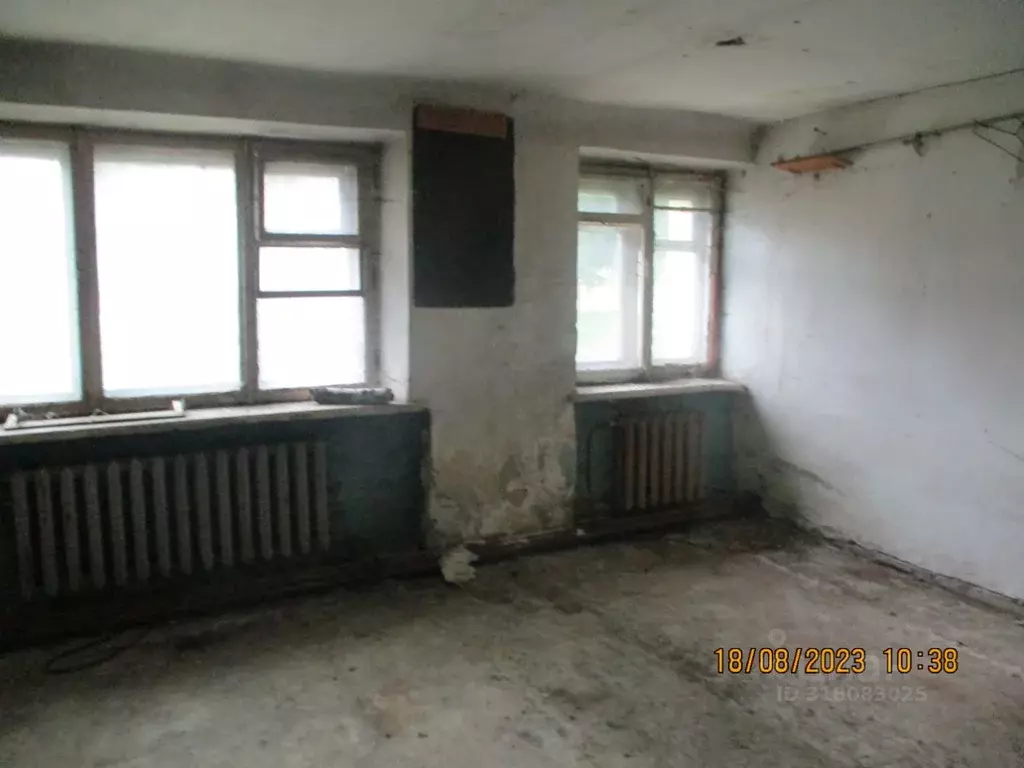 Помещение свободного назначения в Новосибирская область, Новосибирск ... - Фото 0