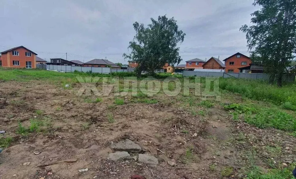 Участок в Новосибирская область, Новосибирский район, Морской ... - Фото 1