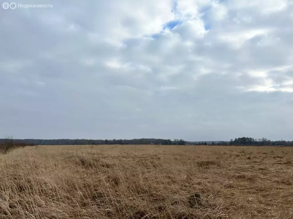 Участок в Московская область, городской округ Коломна, деревня Сенцово ... - Фото 1