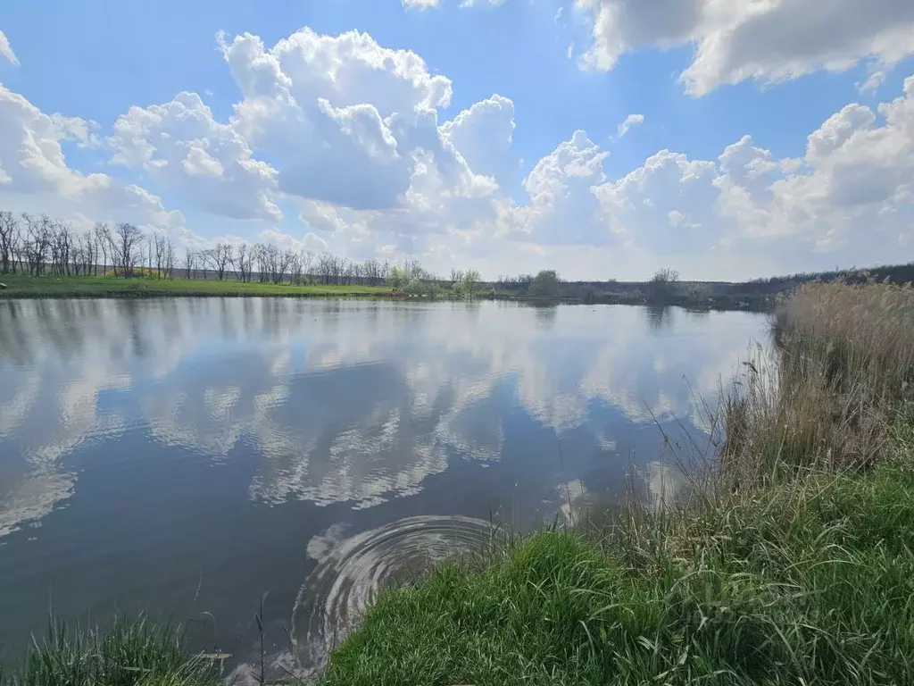 Помещение свободного назначения в Ростовская область, Аксайский район, ... - Фото 2