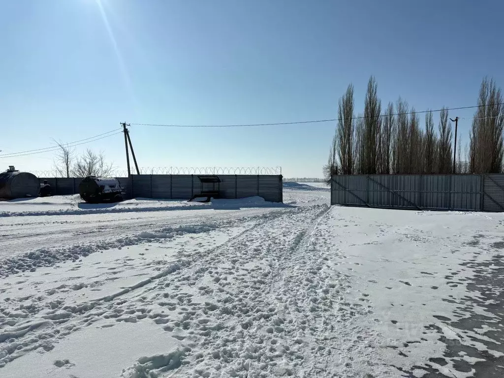Производственное помещение в Воронежская область, пос. Верхняя Маза ... - Фото 2