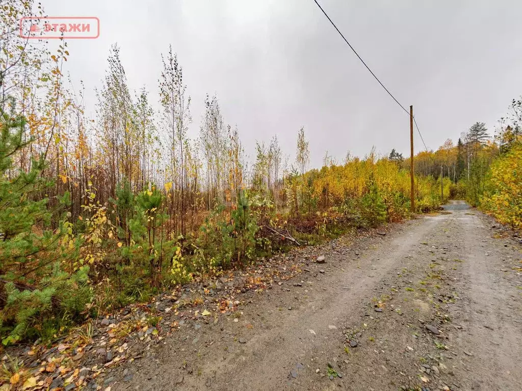Участок в Карелия, Петрозаводск проезд Калиновый (12.5 сот.) - Фото 0