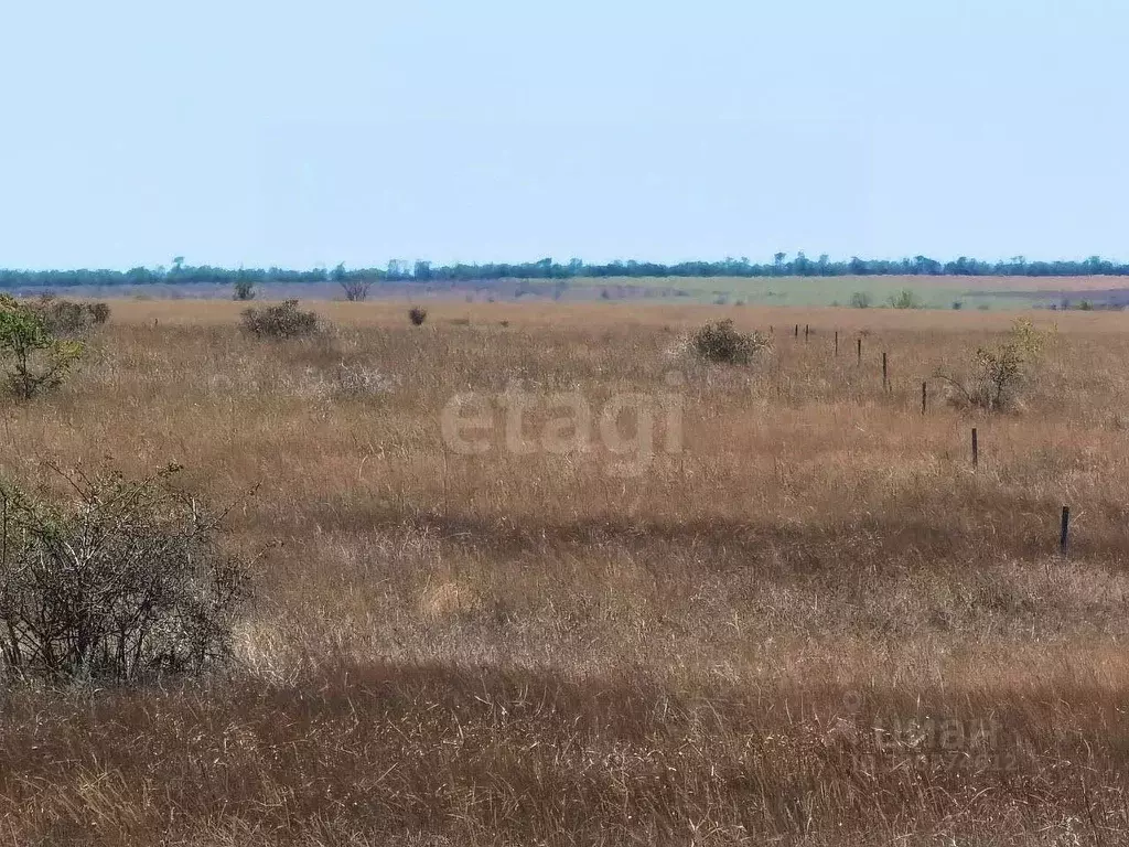 Участок в Крым, Черноморский район, с. Новосельское  (7.06 сот.) - Фото 1