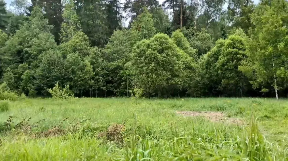 Участок в Московская область, Щелково городской округ, д. Маврино  ... - Фото 1