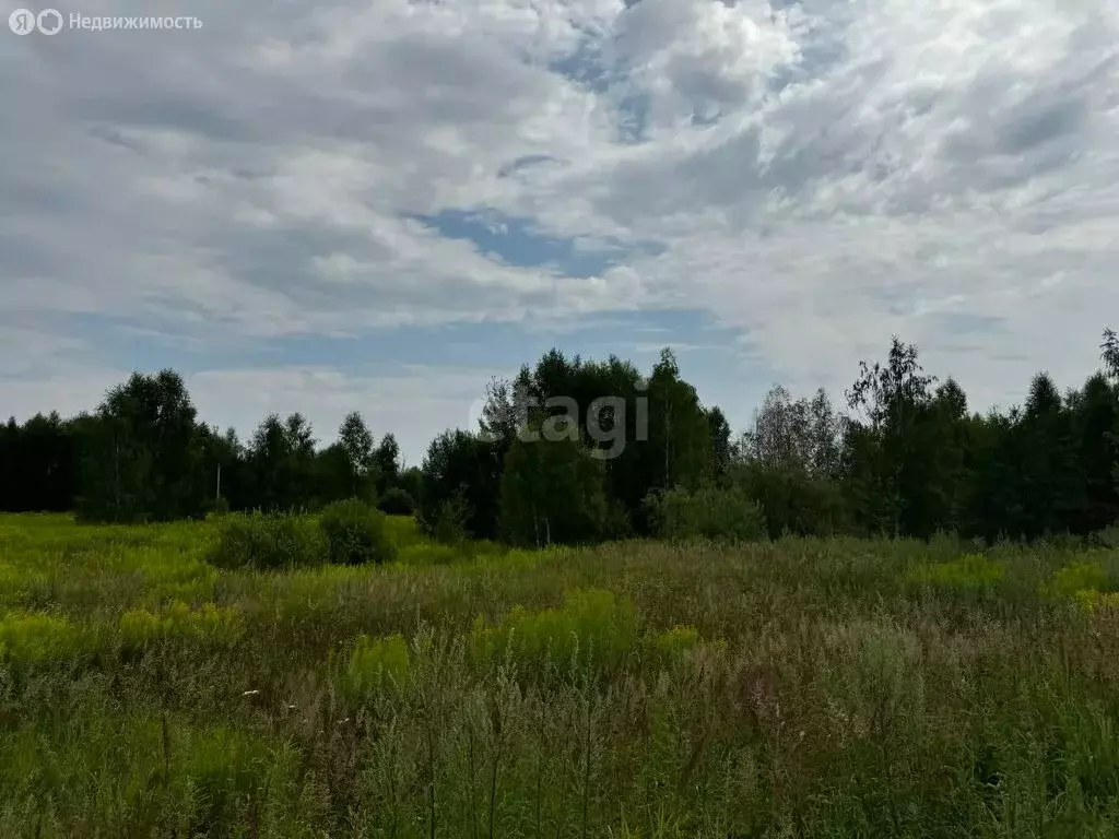 Участок в Нижегородская область, Городецкий муниципальный округ, ... - Фото 1