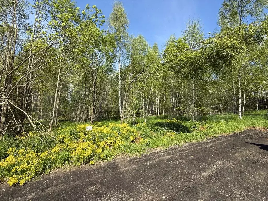 Участок 8,7 сот. (ИЖС) - Фото 1