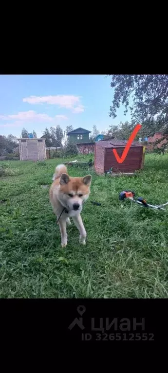 Участок в Ярославская область, Ярославский муниципальный округ, Южный ... - Фото 2