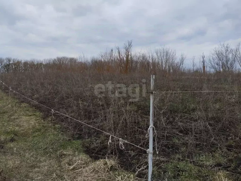 Участок в Мордовия, Лямбирский район, Пензятское с/пос, с. Пензятка ... - Фото 1