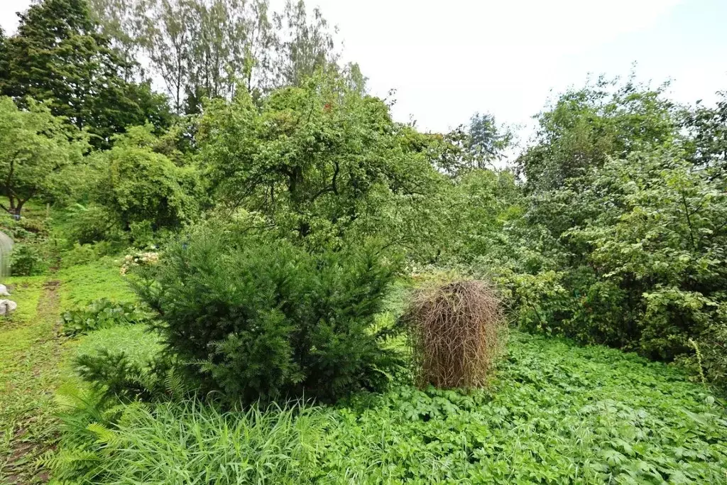 Участок в Ленинградская область, Всеволожский район, Колтушское ... - Фото 1