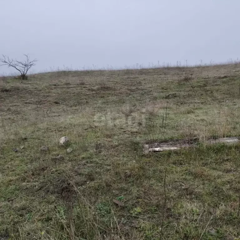 Участок в Ингушетия, Назрань Центральный административный округ, ул. ... - Фото 1