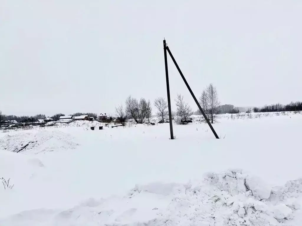 Участок в Омская область, Омский район муниципальный округ, д. ... - Фото 2
