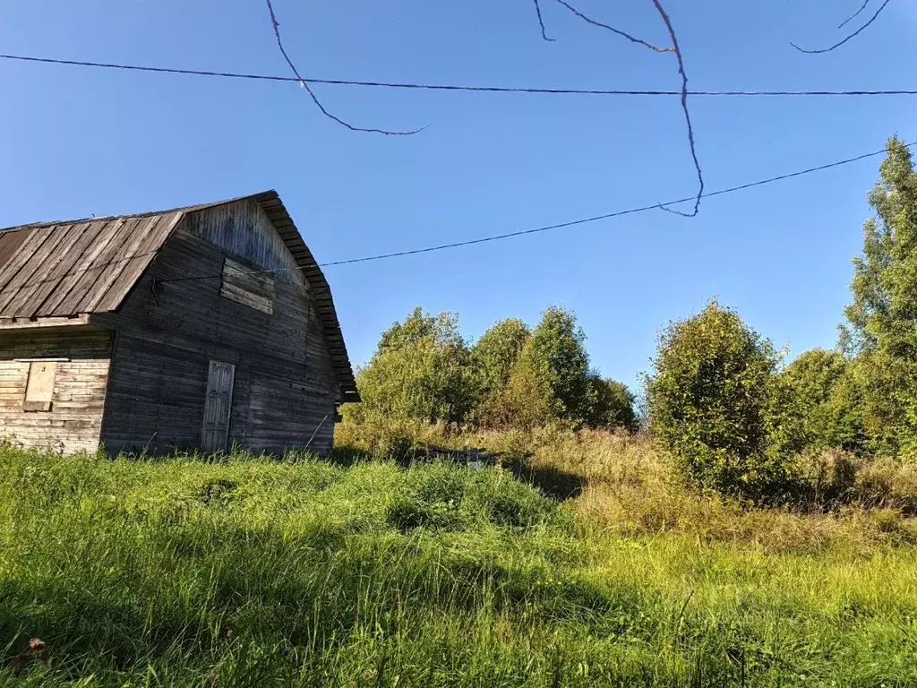 Участок в Ленинградская область, Бокситогорское городское поселение, ... - Фото 1