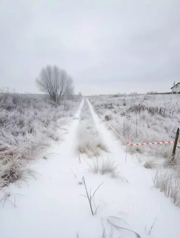 Участок в Тульская область, Узловая ул. Квасникова (12.0 сот.) - Фото 1