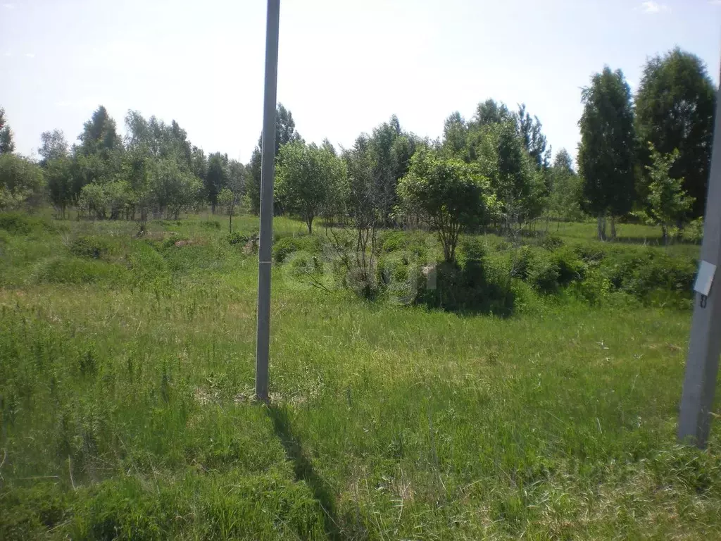 Участок в Тюменская область, Нижнетавдинский муниципальный округ, ... - Фото 1