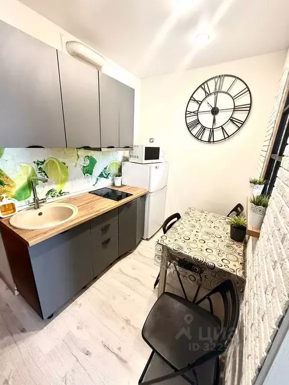 Студия Ленинградская область, Мурино Всеволожский район, бул. ... - Фото 2