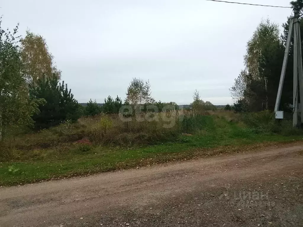 Участок в Калужская область, Дзержинский район, Дворцы с/пос, д. ... - Фото 2