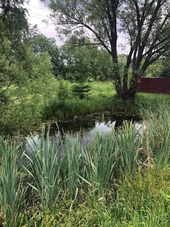 Участок в Московская область, Богородский городской округ, д. Черново ... - Фото 0