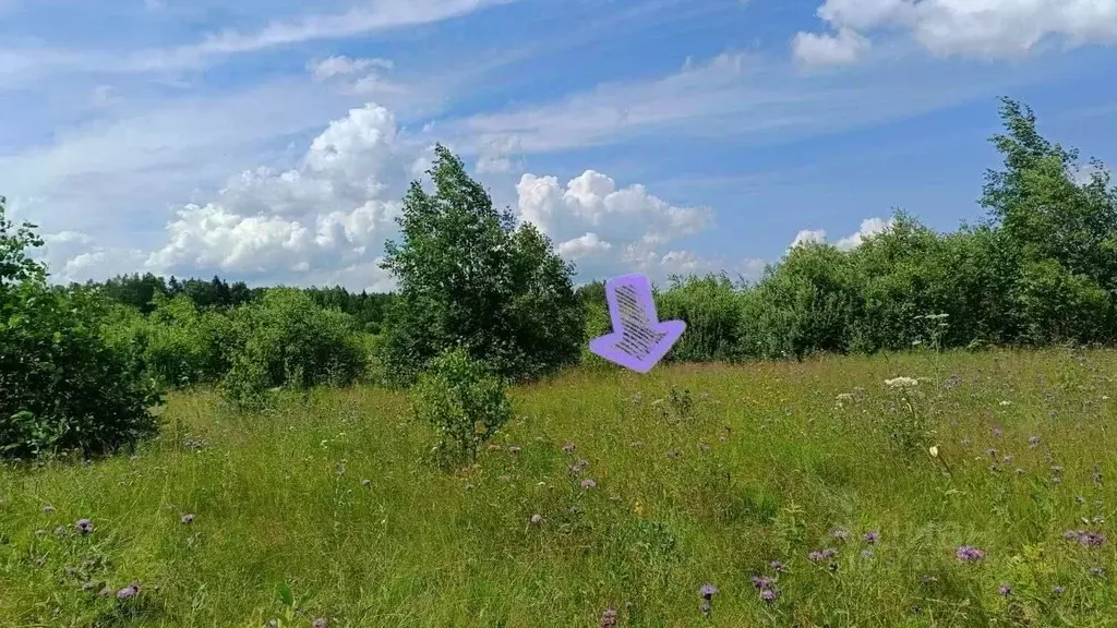 Участок в Московская область, Можайский муниципальный округ, Лесной кп ... - Фото 1