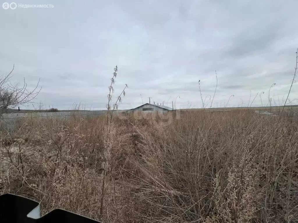 Участок в село Иванково, Центральная улица (24.13 м) - Фото 2