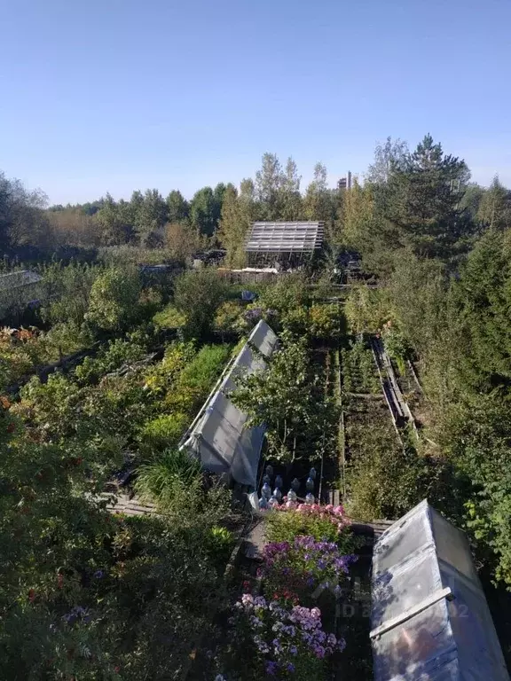 Участок в Архангельская область, Приморский муниципальный округ, Ильма ... - Фото 1