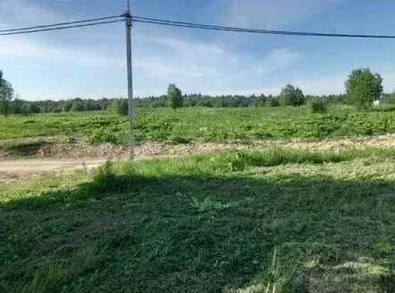 Участок в Ленинградская область, Ломоносовский район, Гостилицкое ... - Фото 0