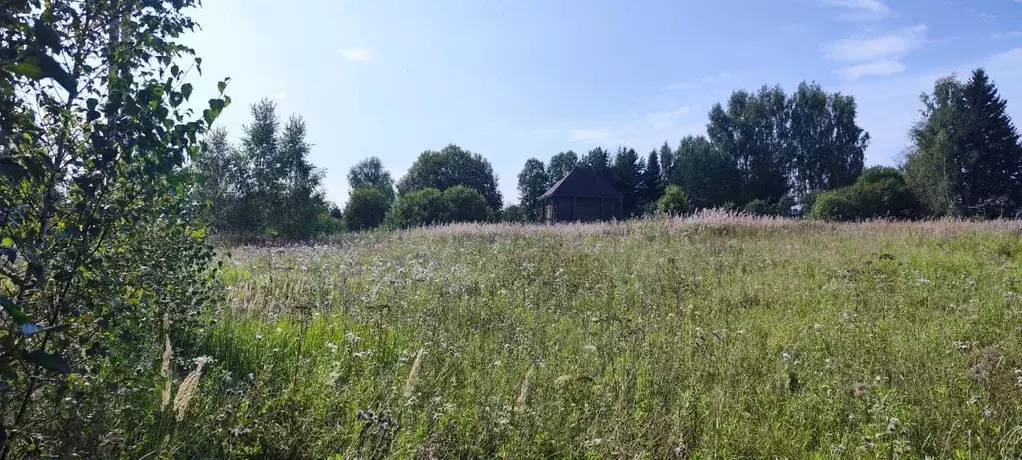 Участок в Московская область, Солнечногорск городской округ, д. Мостки ... - Фото 0