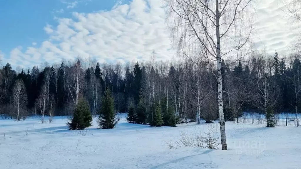 Участок в Московская область, Мытищи городской округ, д. Долгиниха  ... - Фото 1