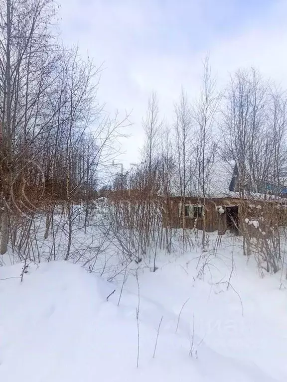 Участок в Ленинградская область, Выборгский район, Советское городское ... - Фото 1