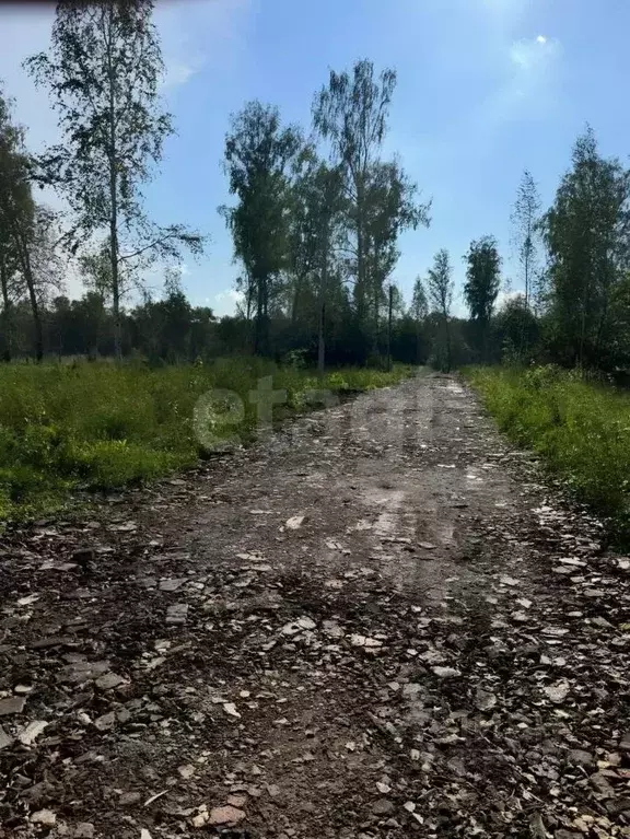 Участок в Новосибирская область, Новосибирский район, Станционный ... - Фото 0