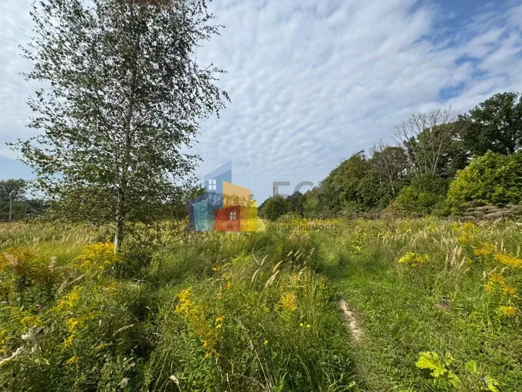 Участок в Тульская область, Тула городской округ, д. Погромное, 13-й ... - Фото 1