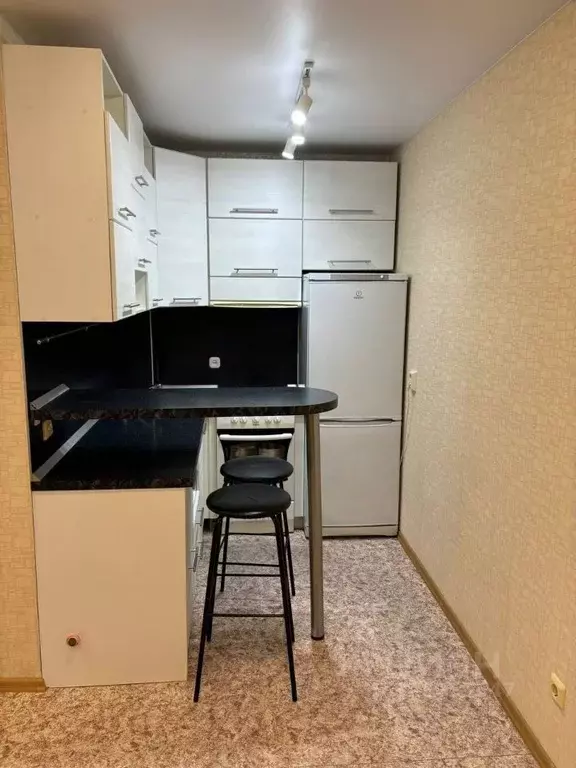 Студия Алтайский край, Барнаул тракт Павловский, 221 (25.0 м) - Фото 1