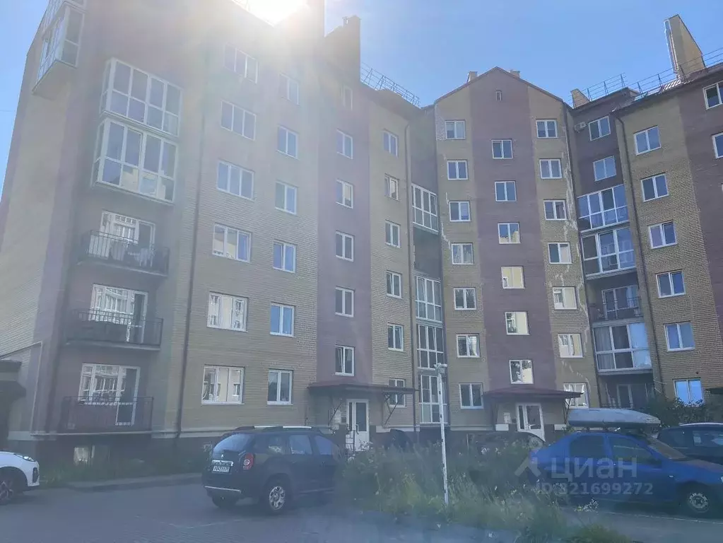 Помещение свободного назначения в Калининградская область, ... - Фото 1