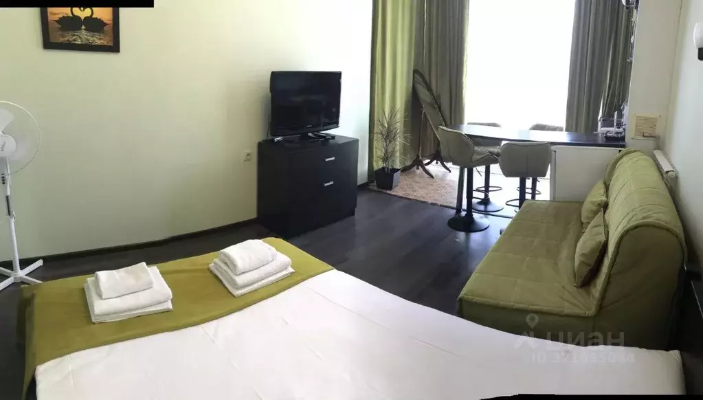 1-к кв. Краснодарский край, Сочи Курортный просп., 75к1 (20.0 м) - Фото 2