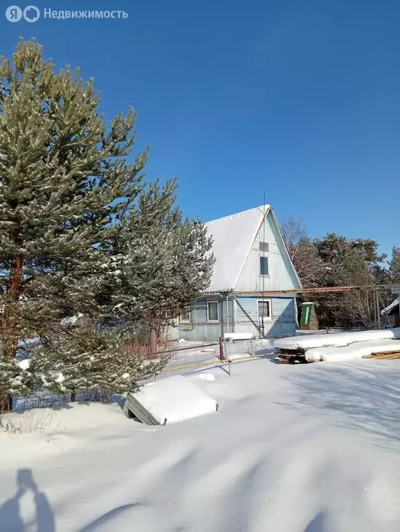 Дом в село Янишполе, Лесная улица (36.9 м) - Фото 1