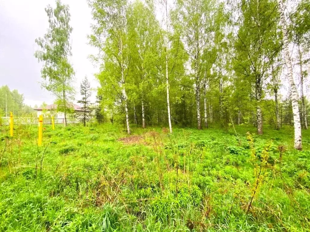 Участок в Владимирская область, Владимир ул. Большая Лукинская, 48 ... - Фото 1