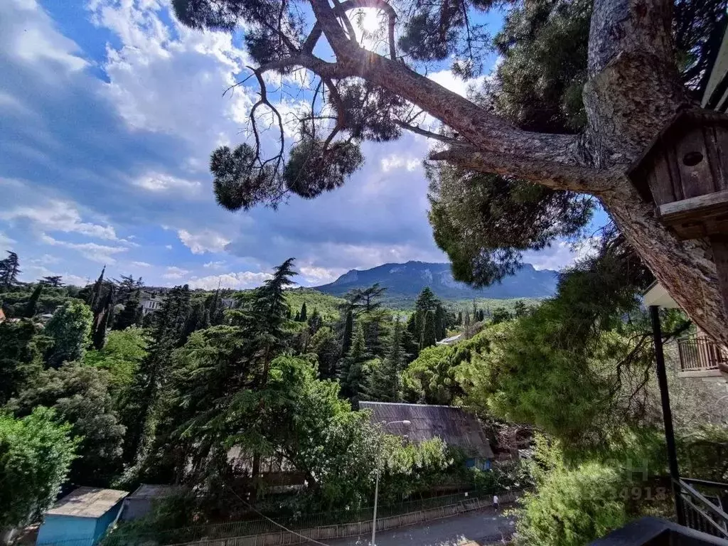 Комната Крым, Ялта муниципальный округ, Гурзуф пгт ул. Ленинградская, ... - Фото 2