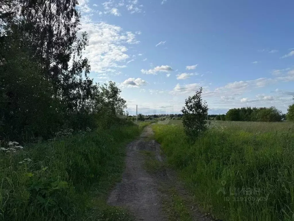 Участок в Вологодская область, Великоустюгский муниципальный округ, ... - Фото 1