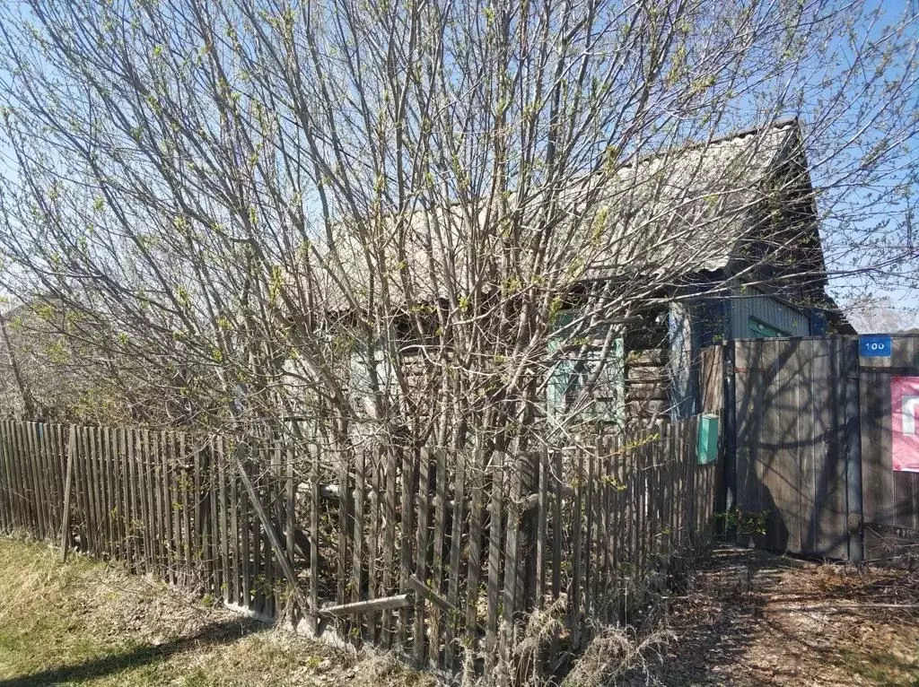 Дом в Новосибирская область, Ордынский район, с. Антоново ул. ... - Фото 1