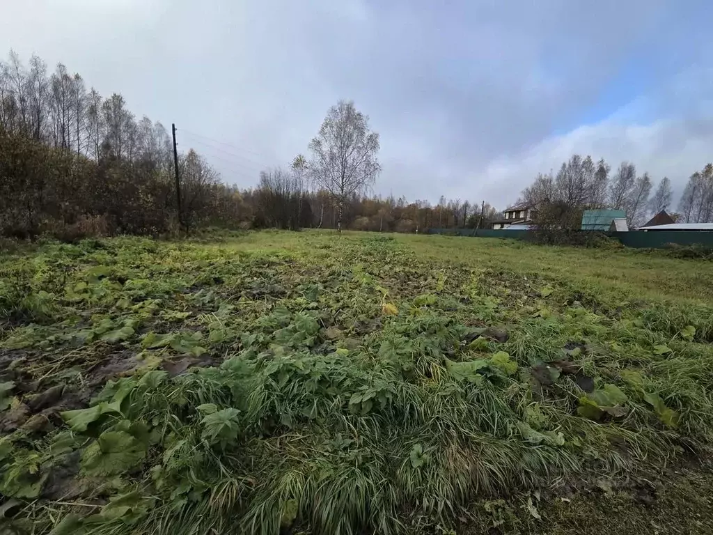 Участок в Тверская область, Калязинский муниципальный округ, д. ... - Фото 2