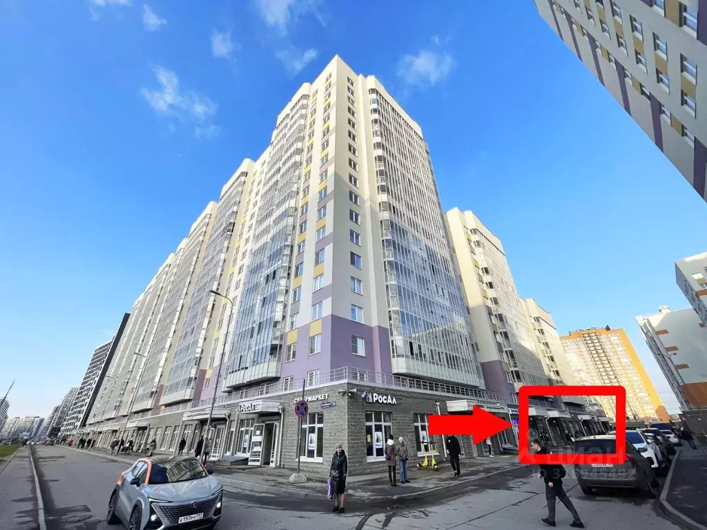 Помещение свободного назначения в Ленинградская область, Мурино ... - Фото 1