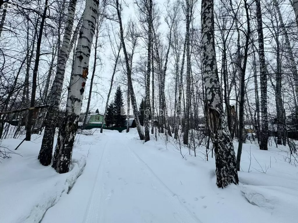 Участок в Новосибирск, садоводческое некоммерческое товарищество ... - Фото 2