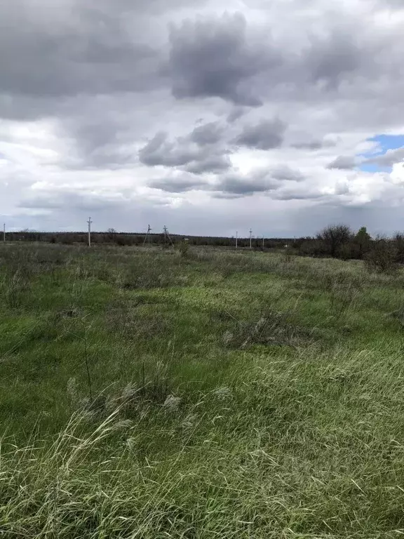 Участок в Саратовская область, Воскресенский район, Елшанское ... - Фото 2
