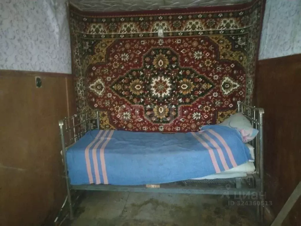 Дом в Воронежская область, Борисоглебск ул. Чкалова, 33 (50 м) - Фото 1