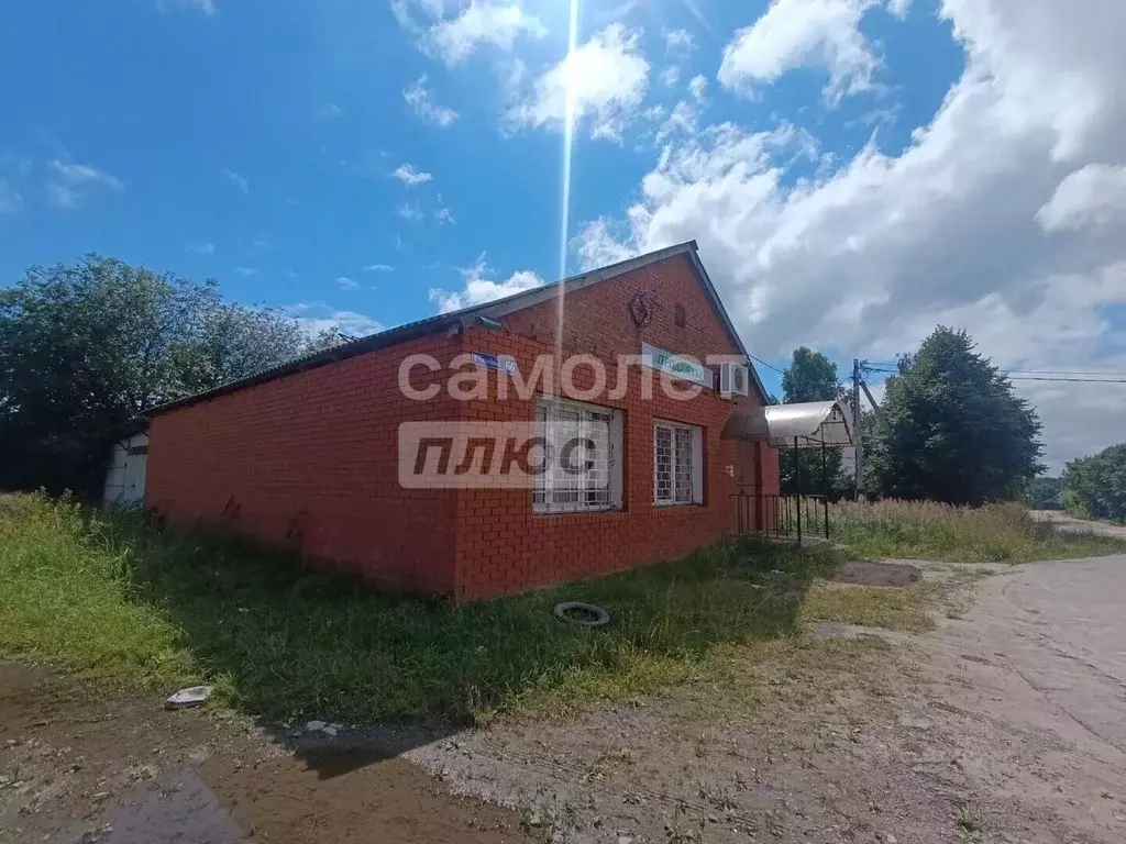 Торговая площадь в Московская область, Воскресенск городской округ, ... - Фото 2