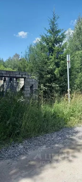 участок в ленинградская область, кировский район, мгинское городское . - Фото 1